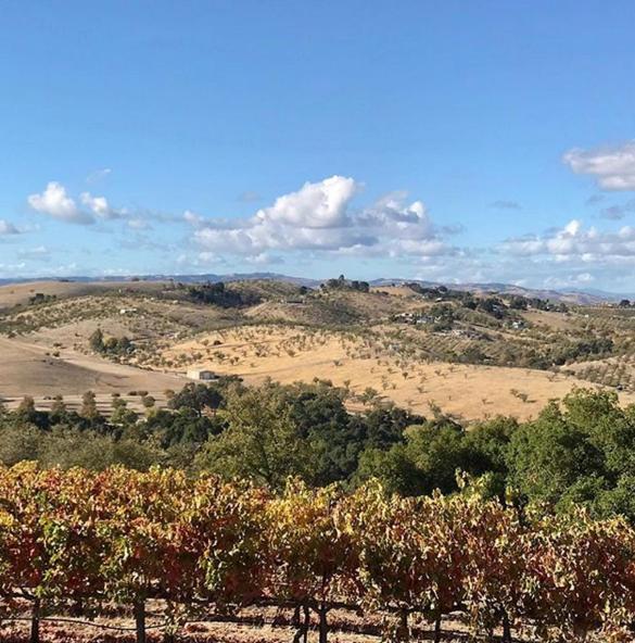 The Eden House Vineyard Hotel Templeton Exterior photo